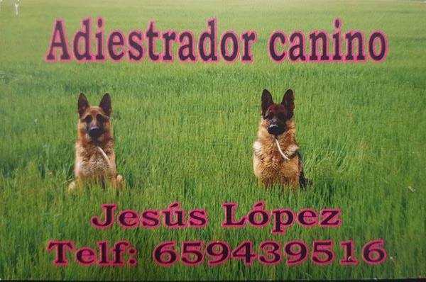 Tarjeta profesional antigua de Jesús López como adiestrador canino {{brizy_dc_image_alt imageSrc=
