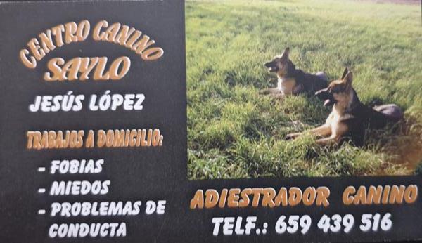 Tarjeta del Centro Canino Saylo, con Jesús López y dos pastores alemanes. {{brizy_dc_image_alt imageSrc=