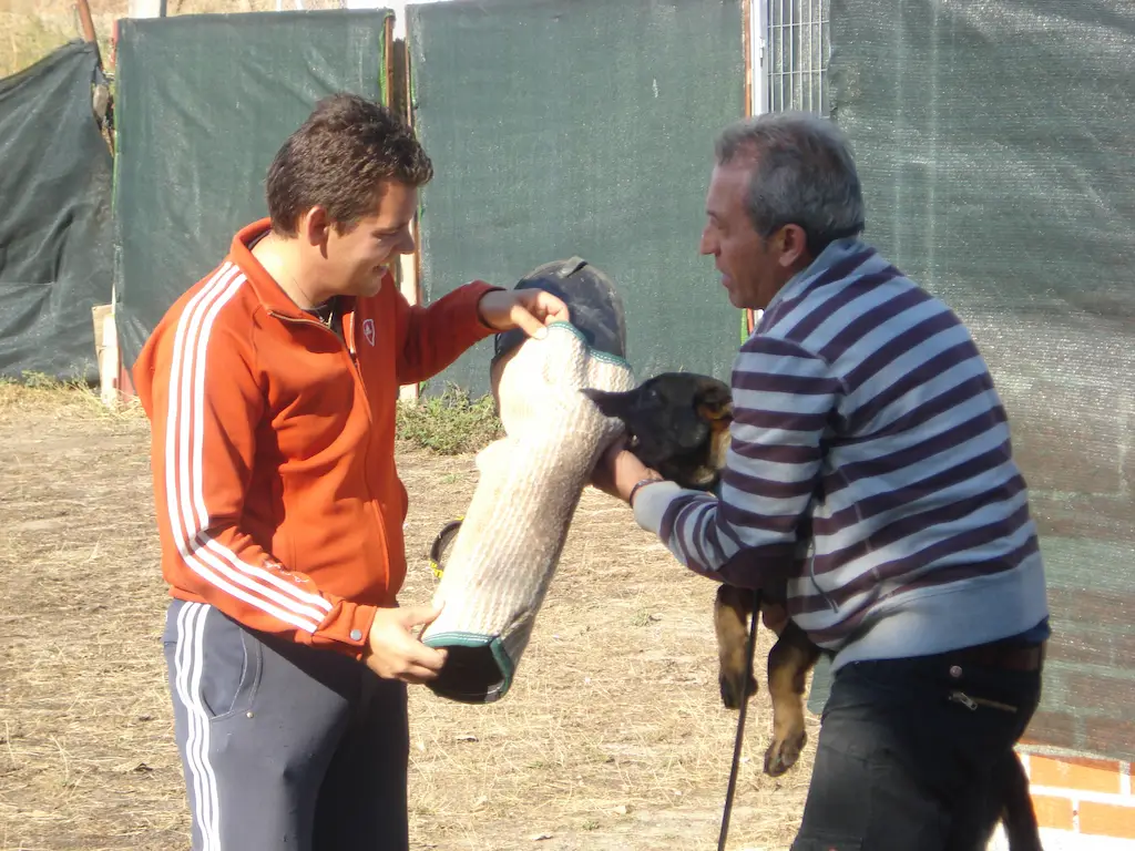 {{brizy_dc_image_alt imageSrc=