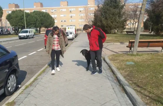 Lucía camina por la acera junto a su perro Ney, acompañada por el educador canino durante una sesión de entrenamiento. {{brizy_dc_image_alt imageSrc=